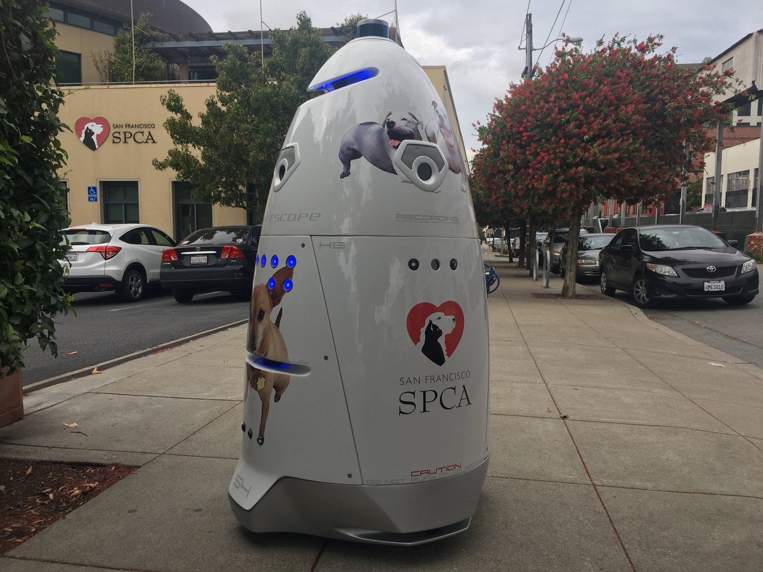 Angriffe auf und Streit um Roboter im öffentlichen Raum
