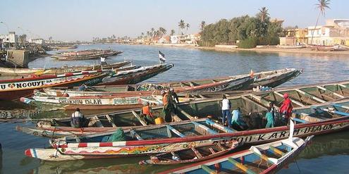 Senegal: Wie Überfischung ein Land ruiniert