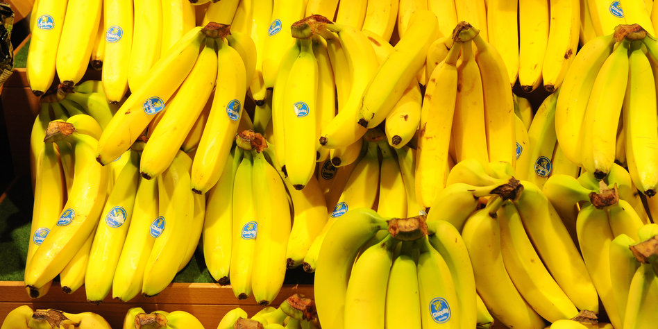 Gewerkschafter zu Bananen aus Ecuador: „Lidl antwortet uns nicht mal“
