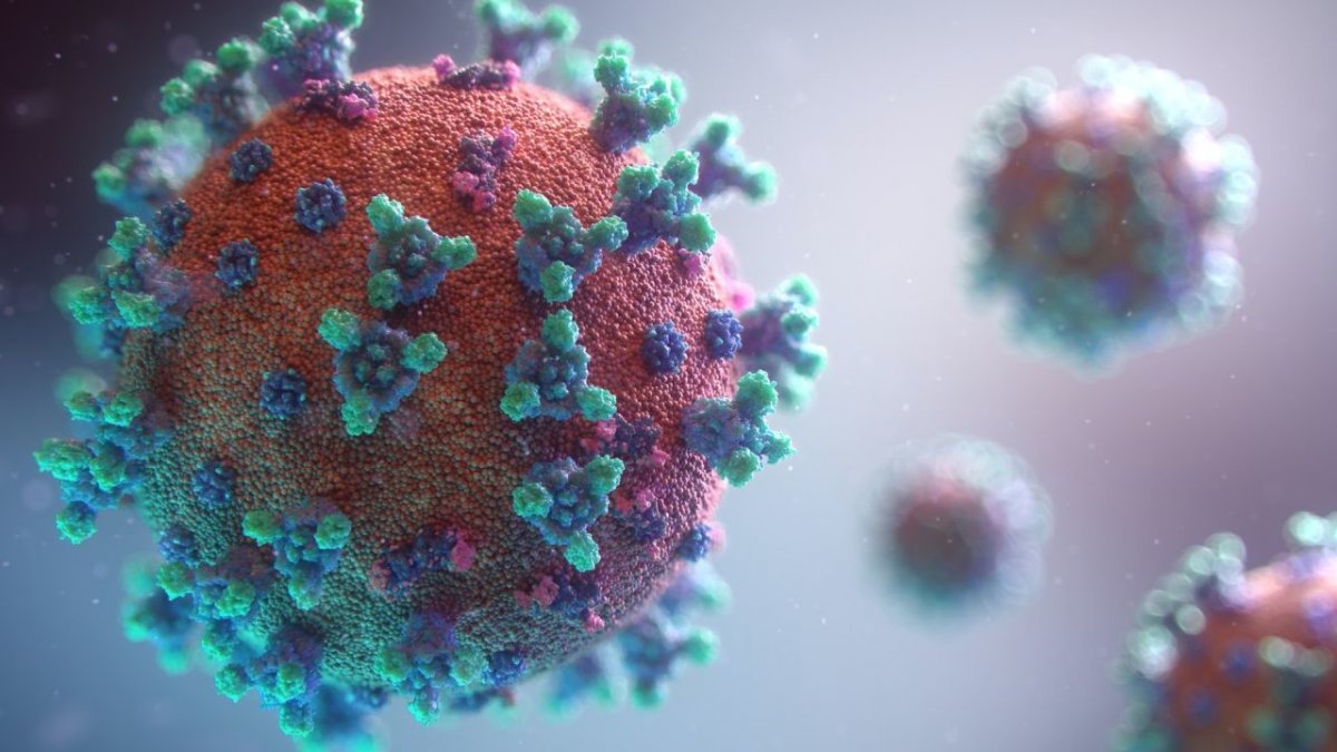 Die Überschätzung des tatsächlichen Anstiegs der Coronavirus-Neuinfektionen