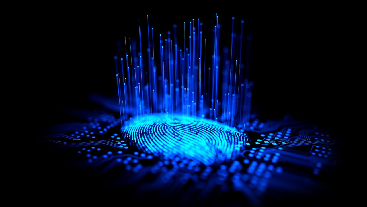 Trojaner, Tracker, digitaler Fingerabdruck: Gegen die Überwachung im Netz - DER SPIEGEL - Kultur