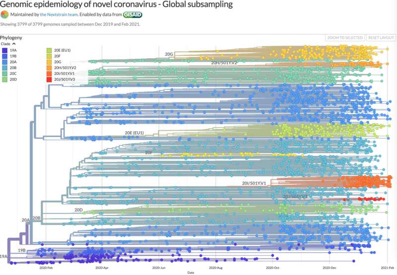 Genomic epidemiology of novel coronavirus – Global subsampling