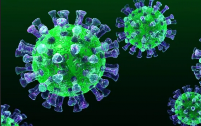 Die Frankenstein-Viren aus der “Eco-Health”-Hexenküche