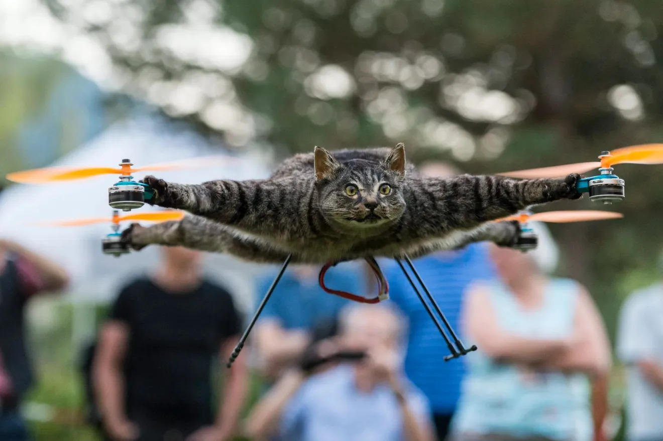 “I turned my beloved cat Orville into a DRONE because he loved birds – everyone’s horrified but I don’t care”
