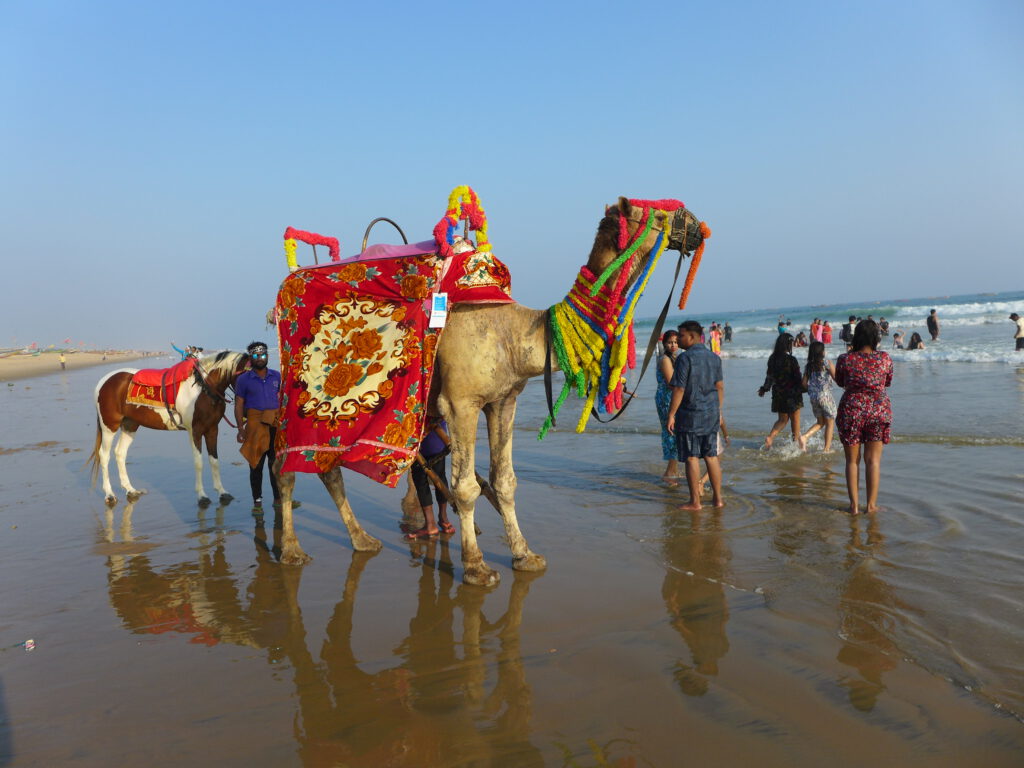 Indien: Das Golden-Beach System