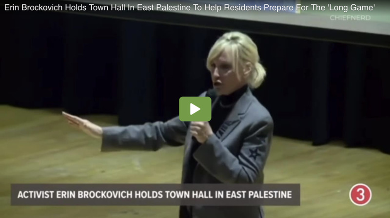 Erin Brockovich Holds Town Hall In East Palestine To Help Residents Prepare For The 'Long Game'