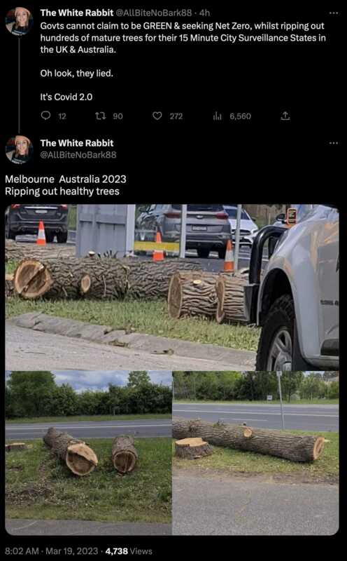 Melbourne  Australia 2023 – Ripping out healthy trees