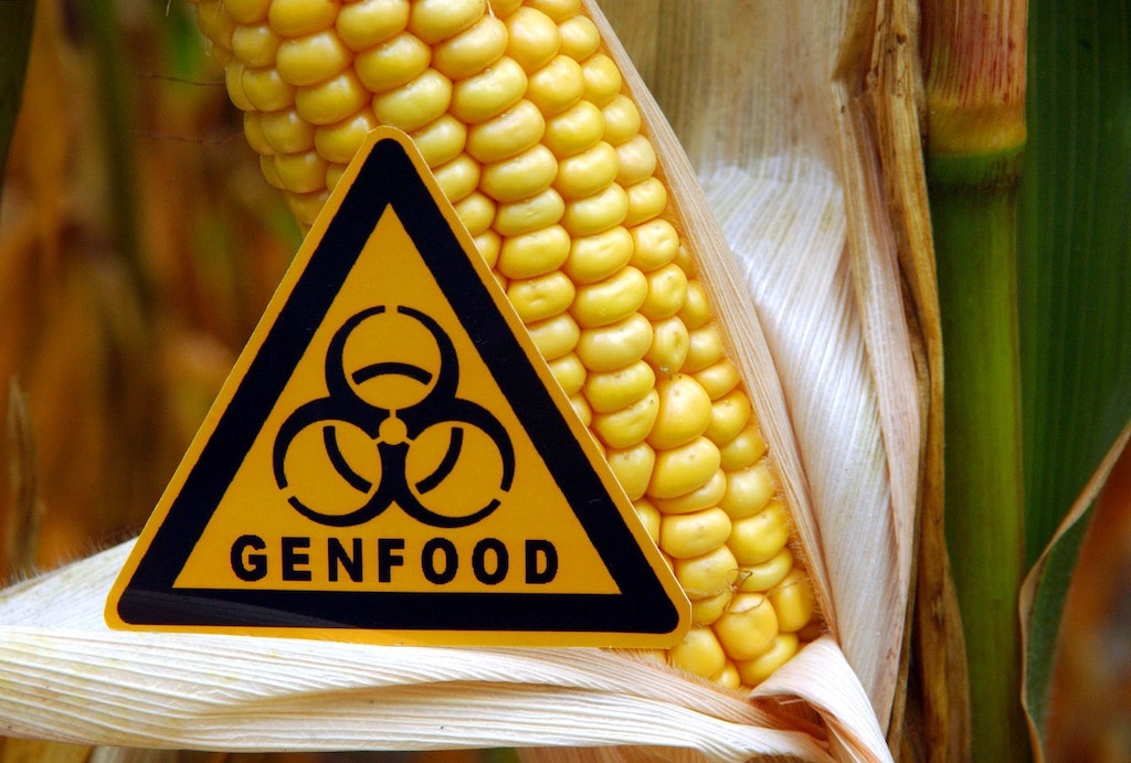 Genmodifizierte Lebensmittel: EU plant Lockerungen für Agrarsektor