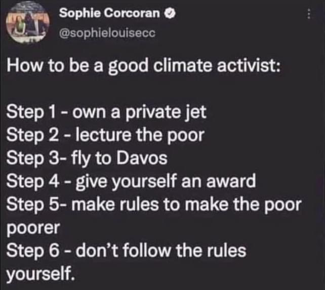 Wie man ein guter Klimaaktivist ist