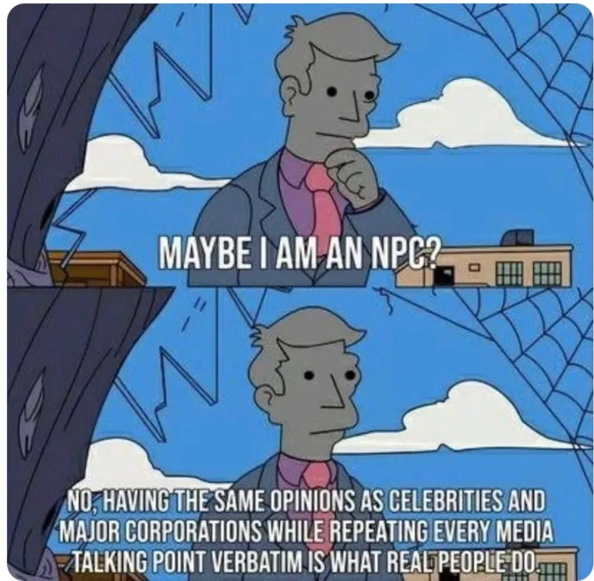 «Vielleicht bin ich ein NPC?»