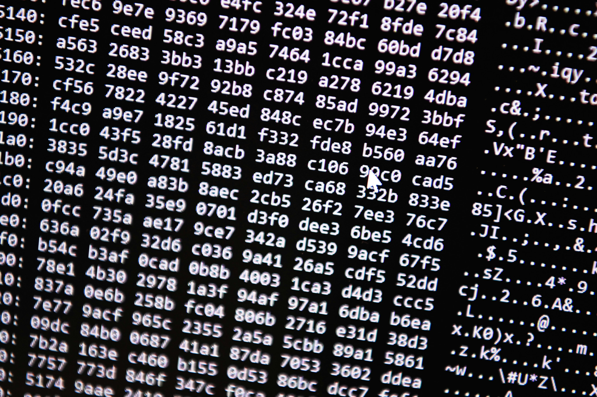 Bundesverwaltung: Hacker stehlen Daten