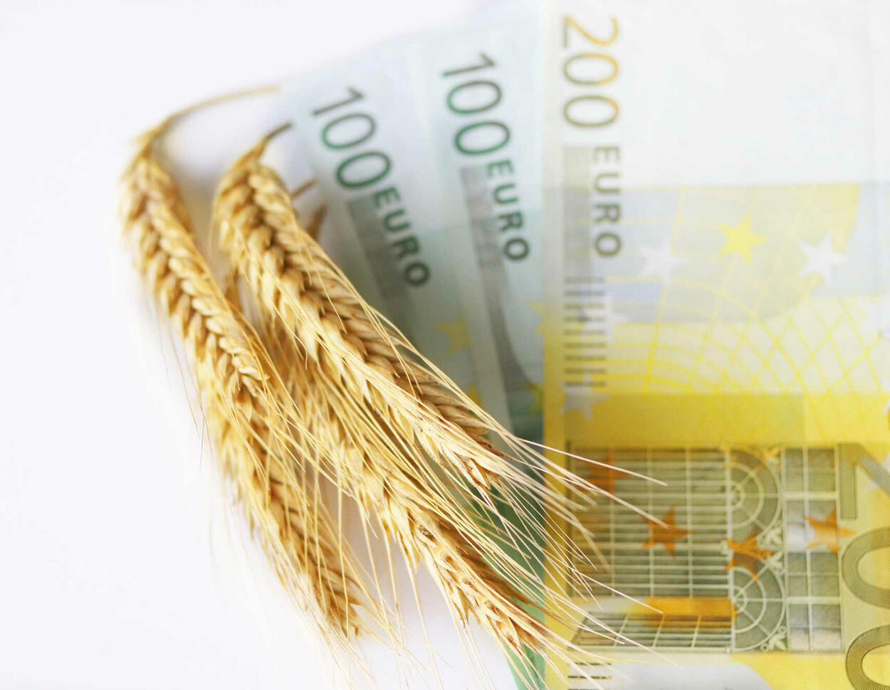 Das sind die Top-Empfänger von EU-Agrarsubventionen 2022