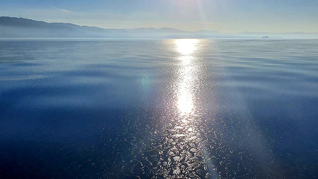 Eine hauchdünne Eisschicht treibt auf dem spiegelglatten Meer im Golf von Triest im Nordosten Italiens. - © Area Marina Protetta Miramare via Facebook