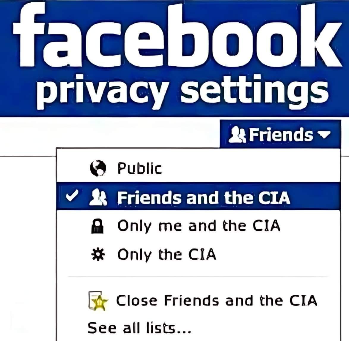 Die Facebook-Datenschutzeinstellungen