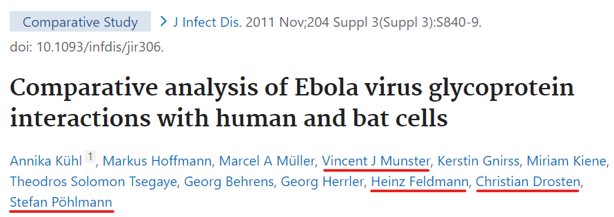Comparative analysis of Ebola virus glycoprotein interactions with human and bat cells