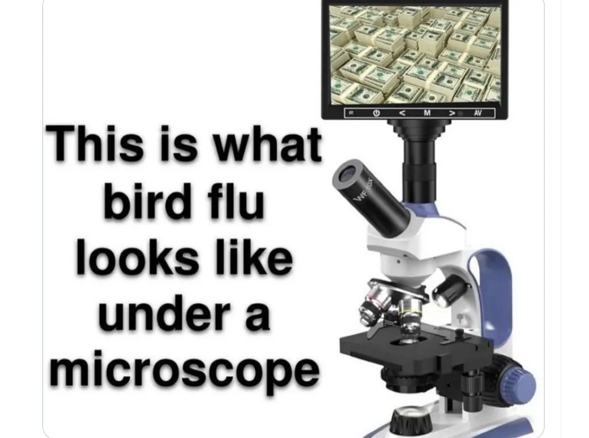 So sieht Vogelgrippe unter dem Mikroskop aus