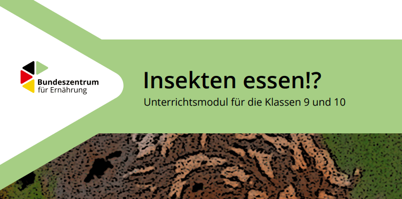 “Essbare” Insekten bei ALDI? Die Antwort und ein Überblick über die Forschung zu den Risiken “essbarer Insekten”