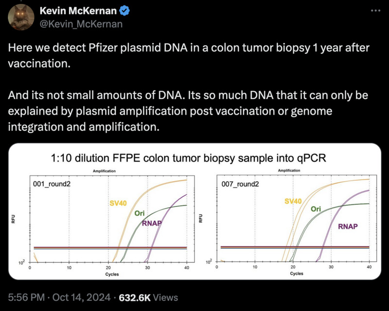 «Hier weisen wir Pfizer-Plasmid-DNA in einer Kolontumorbiopsie 1 Jahr nach der Impfung nach.»