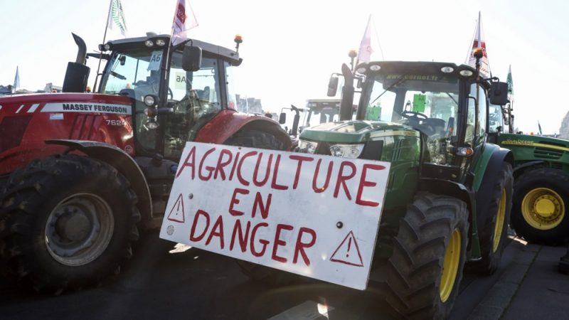 Mercosur-Abkommen: Französische Landwirte rufen zu zivilem Ungehorsam auf