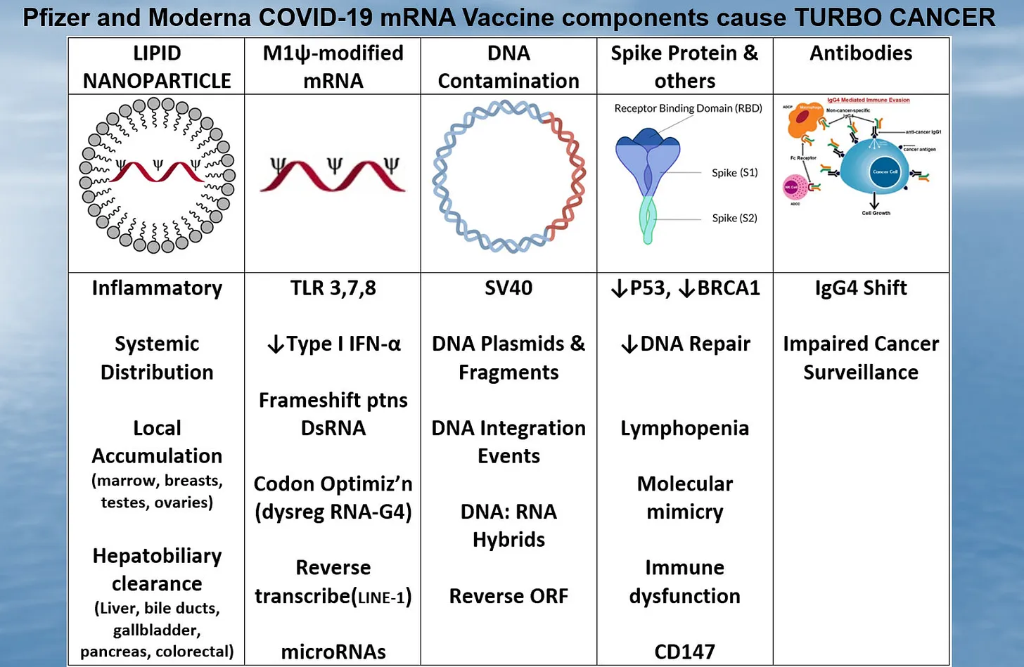 Nicht nur DNA in den Corona-“Impfstoffen”, sondern auch durch Frameshifting erzeugte Fragmente fördern Turbokrebs