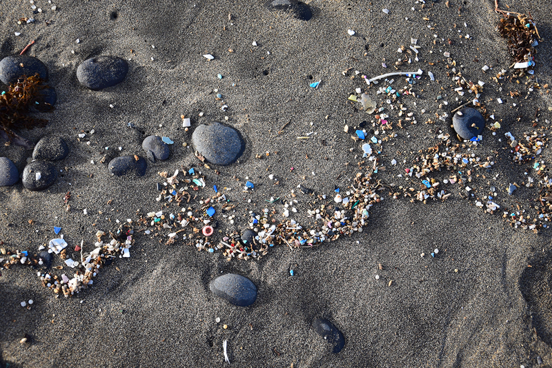 Mikroplastik im menschlichen Körper: Was die Forschung über Aufnahme, Risiken und mögliche Entgiftung verrät | Transition News