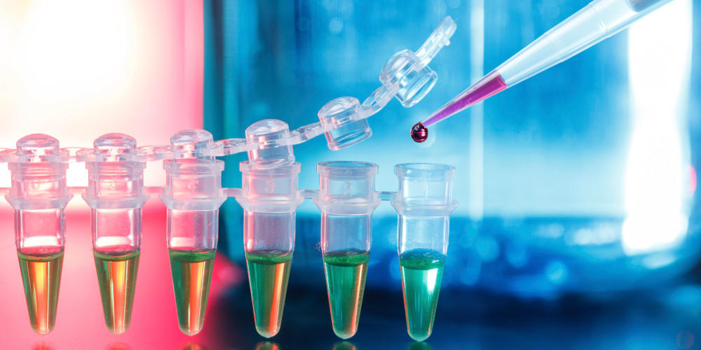 „Das ist nicht hinnehmbar“