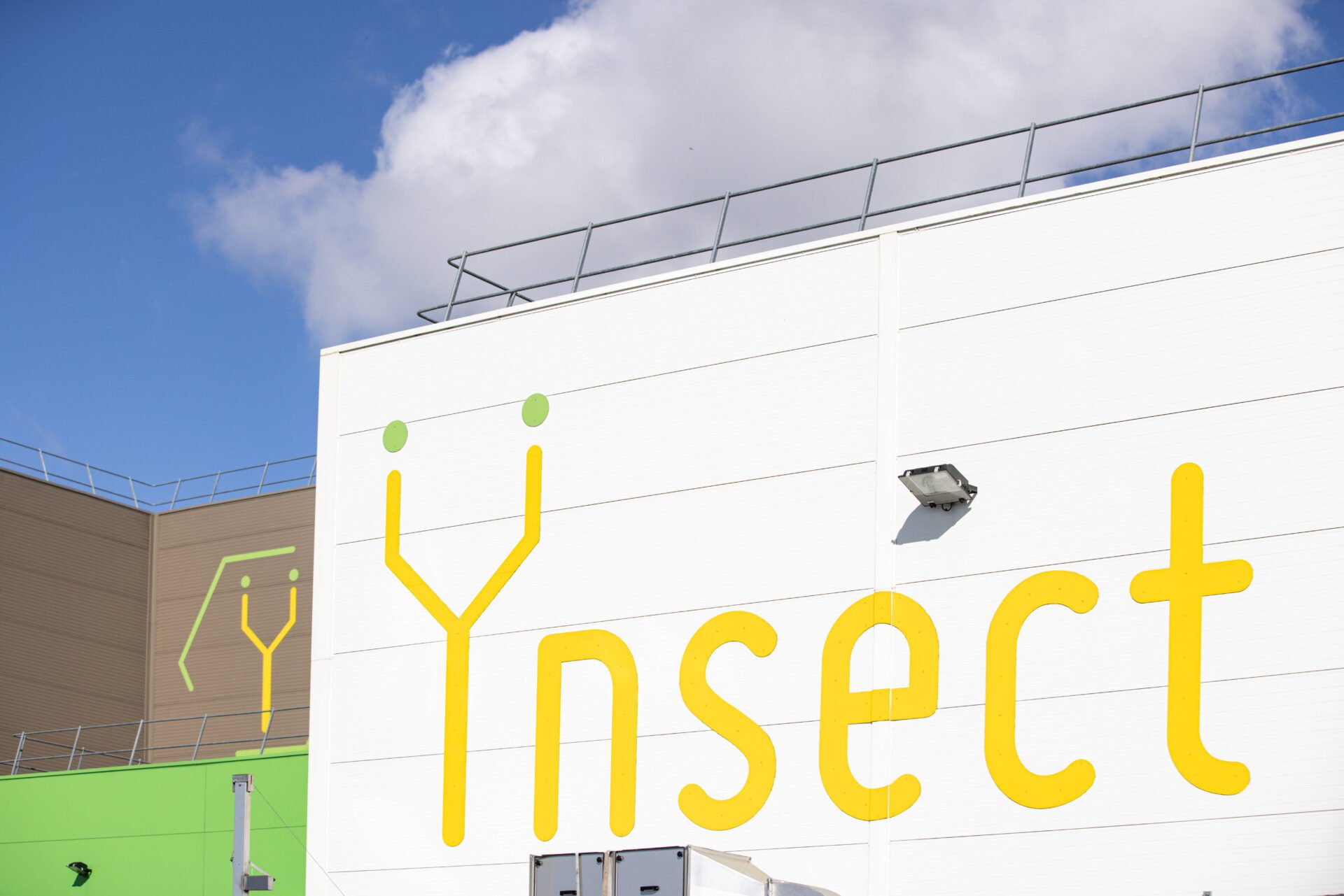 Von der EU gefördert: Mehlwurm-Startup pleite - Apollo News