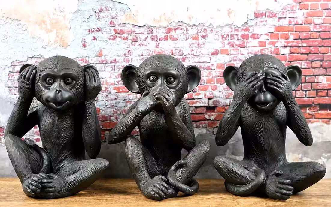 Nichts hören, nichts sagen, nichts sehen