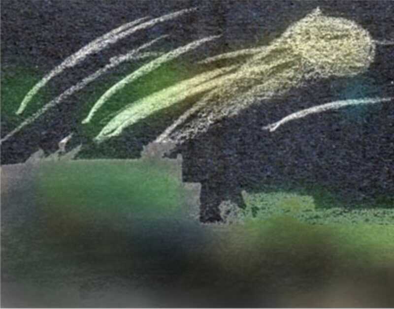 Caren Miosga erhält Drohnenabwehrschirm Caren Miosga erhält Drohnenabwehrschirm