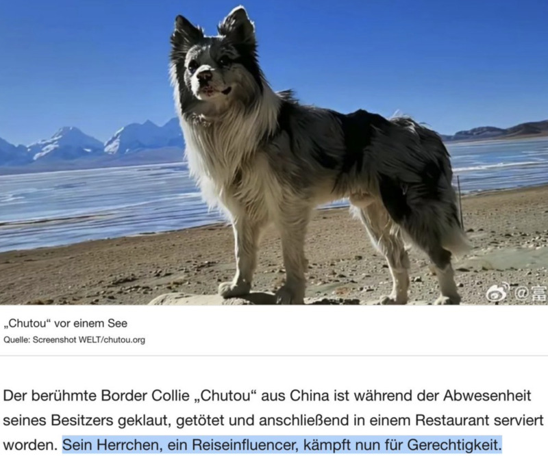 “Wie bist du zum Kampf für Gerechtigkeit gekommen?”