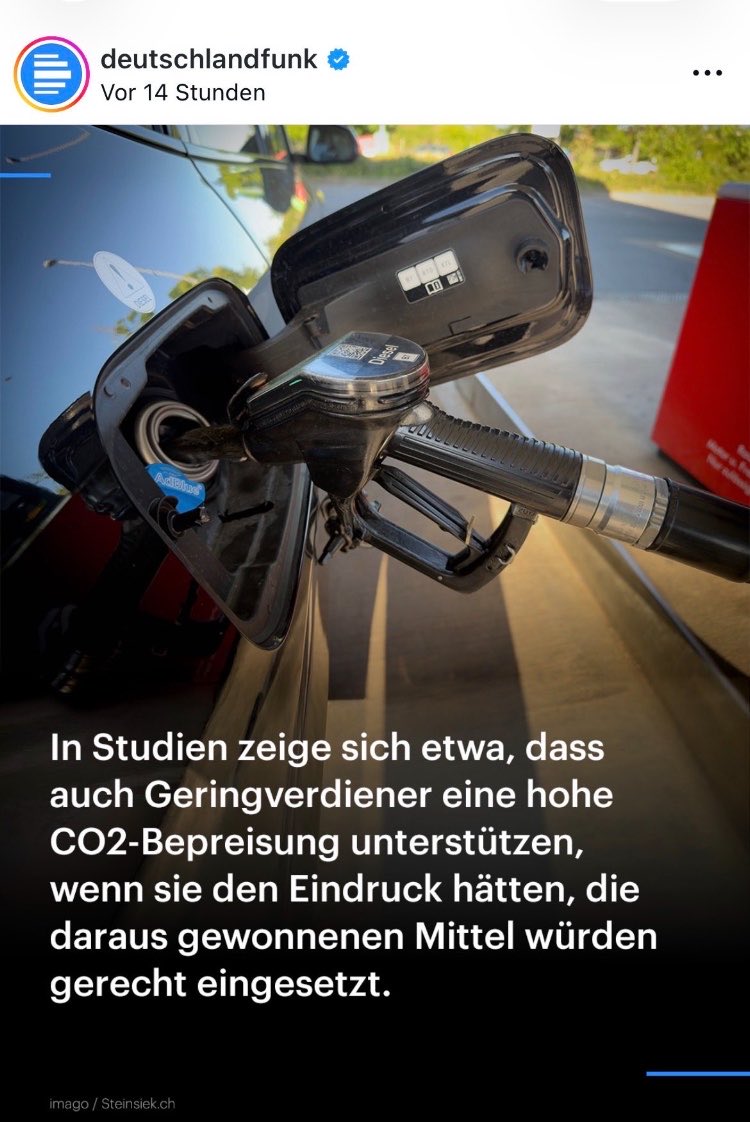 Dummfragen “zeigen”