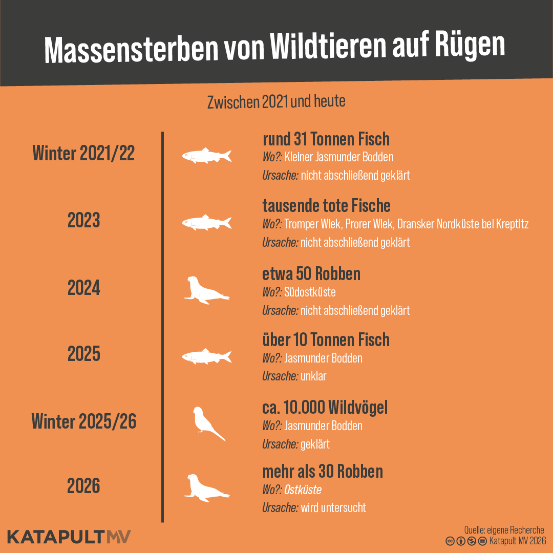 Massensterben von Wildtieren auf Rügen