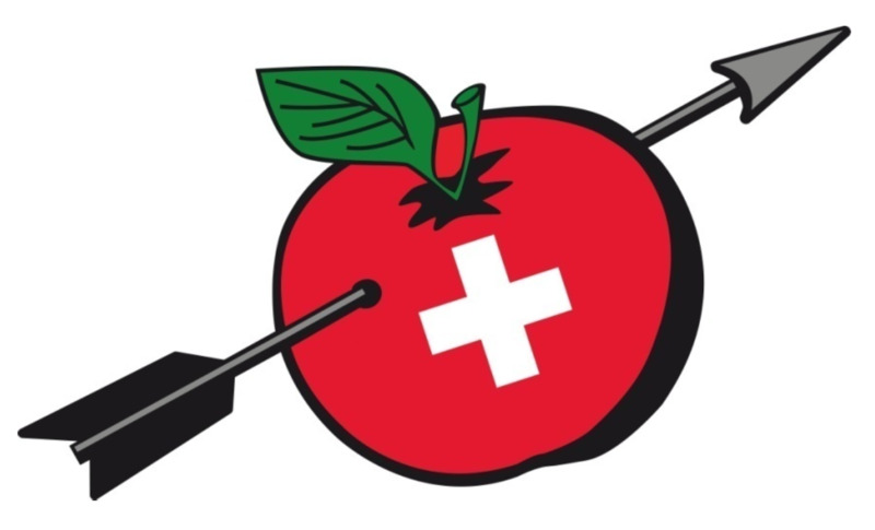 Projekt „Netzwerk Schweiz plus“